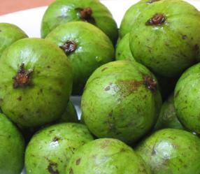 Hanoi Fruit (quả sấu)